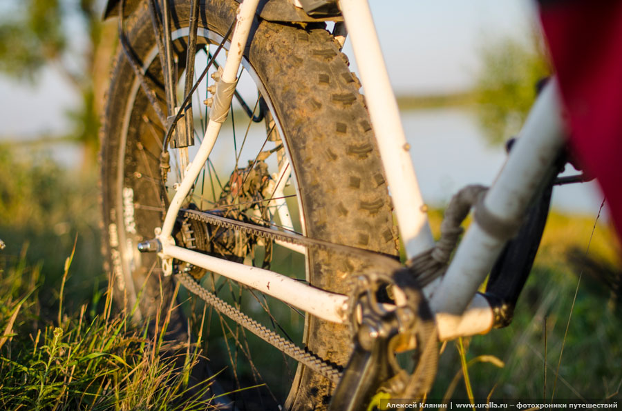 Fat bike carbon belt drive