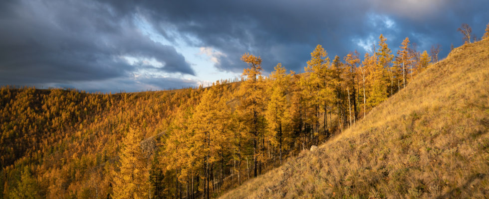 Крака и Кагаташ